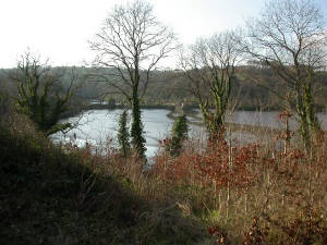 ballynatray_26feb2005.jpg