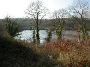 ballynatray_26feb2005.jpg