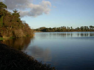 knockaderry_13nov2004.jpg