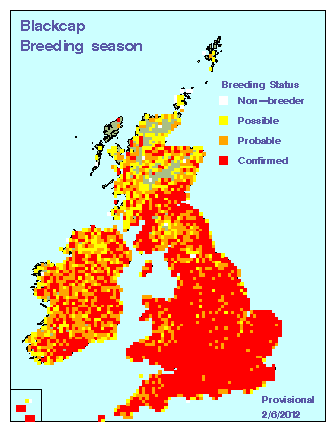 blackcap_breeding_britirel_02062011.gif