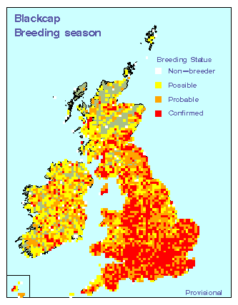 blackcap_breeding_britirel_18052010.gif