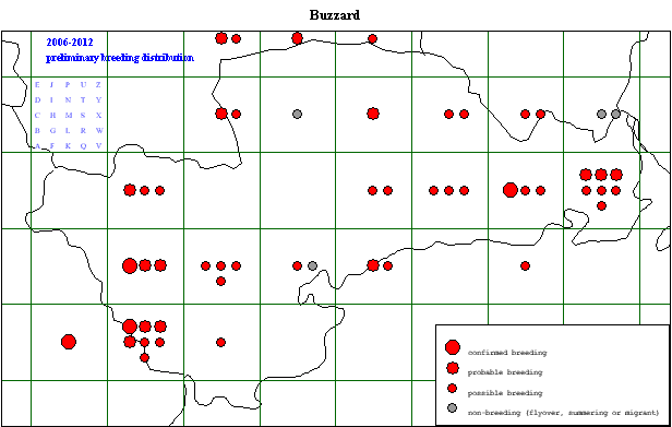 buzzard_20062012_centraldots.gif