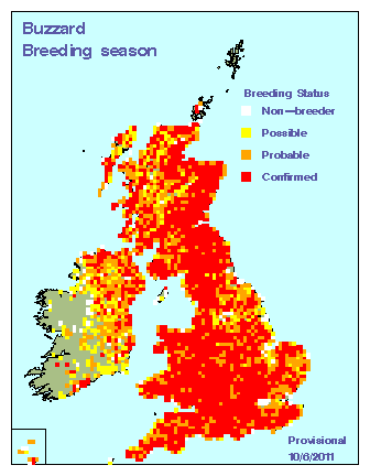 buzzard_breeding_britirel_10062011.gif