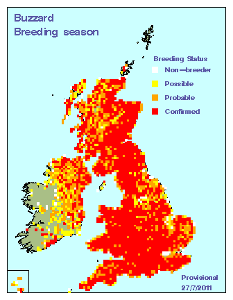 buzzard_breeding_britirel_27072011.gif