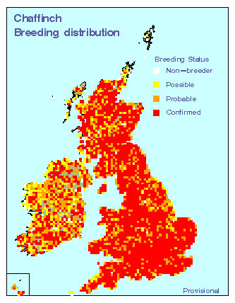 chaffinch_breeding_britirel_14092009.gif