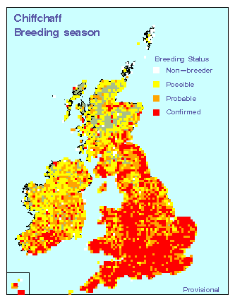 chiff_breeding_britirel_22082010.gif