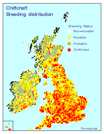 chiffchaff_breeding_24042009.gif