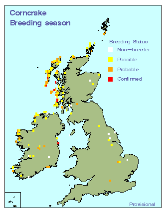 corncrake_breeding_britirel_26072010.gif