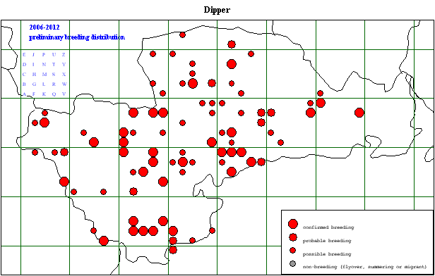 dipper_20062012_breeding_revised2.gif