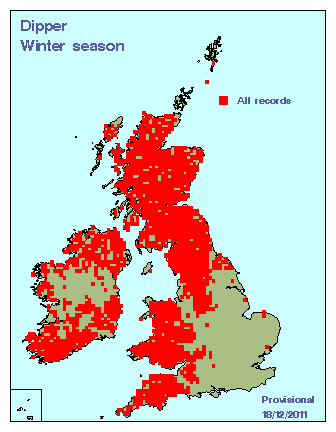 dipper_winter_britirel_18122011.gif