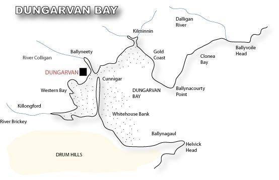 dungarvan_flat.jpg