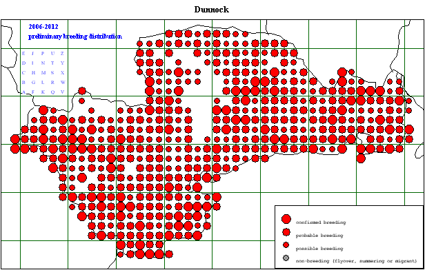 dunno_20062012_breeding.gif