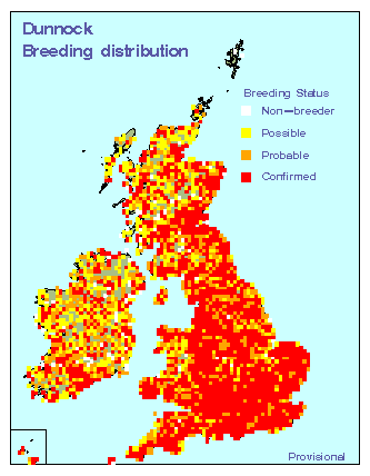 dunnock_breeding_britirel_04082009.gif