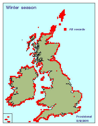 fulmar_winter_britirel_08122011.gif