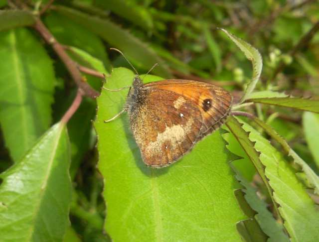 gatekeeper_kilmeadenpools_06082011.jpg