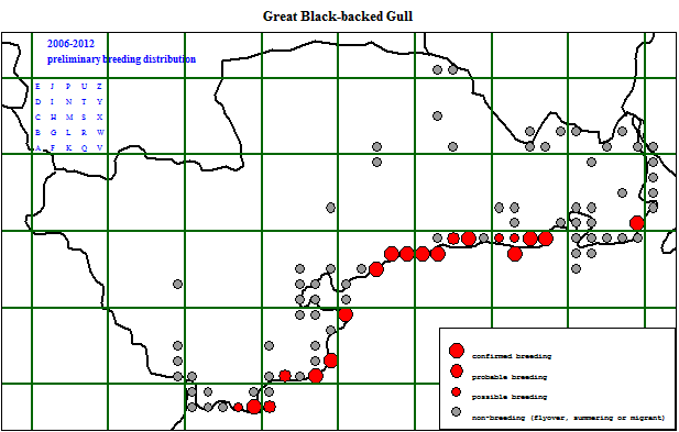 gbbgu_20062012_breeding.gif