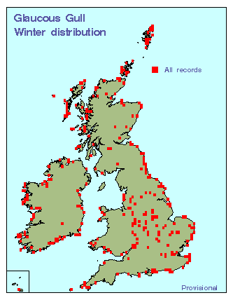 glagu_winter_britirel_25012010.gif