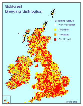 goldc_breeding_britirel_19042010.gif