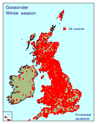 goosander_winter_britirel_28122011.gif
