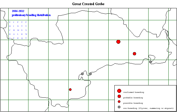 grecg_20062012_breeding.gif