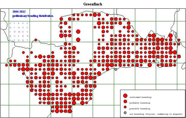 grefi_20062012_breeding.gif