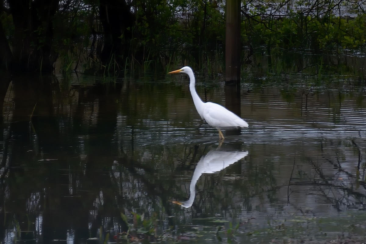 gwe_blackwater_29042023_adm.jpeg