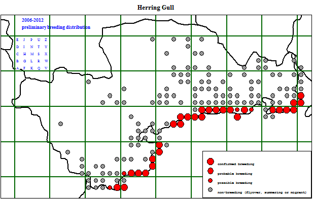 hergu_20062012_breeding.gif