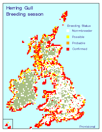 hergu_breeding_britirl_19082010.gif