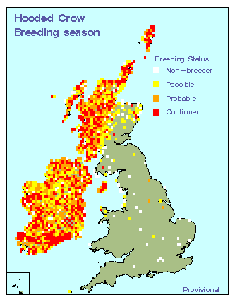 hoocr_breeding_britirel_21052010.gif