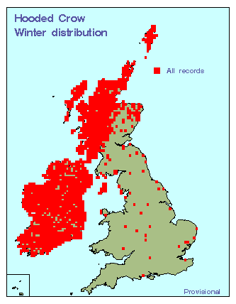 hoocr_winter_britirel_29122009.gif