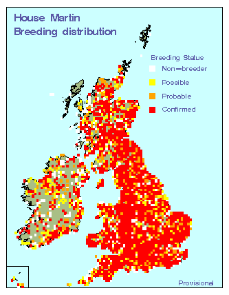 housemartin_breeding_national_16042009.gif