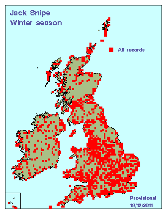 jacksnipe_winter_britirel_19122011.gif