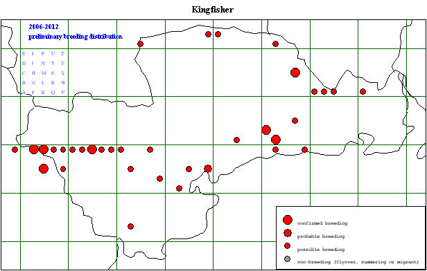 kingf_20062012_breeding_revised.gif