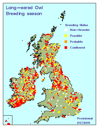 leowl_breeding_britirel_24072011.gif