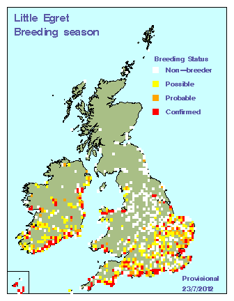 liteg_breeding_britirel_23072012.gif