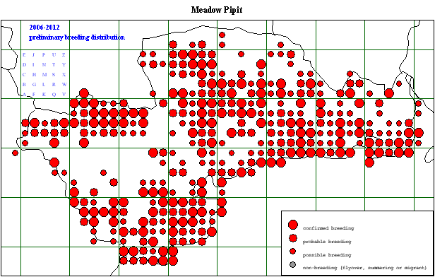 meapi_20062012_breeding.gif