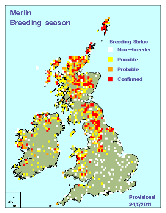 merlin_breeding_britirel_24052011.gif