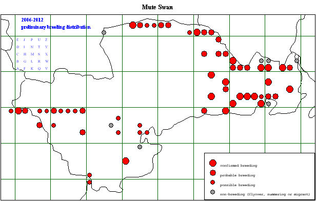 mutsw_20062012_breeding_.gif