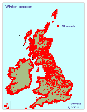 oyste_winter_britirel_08122011.gif