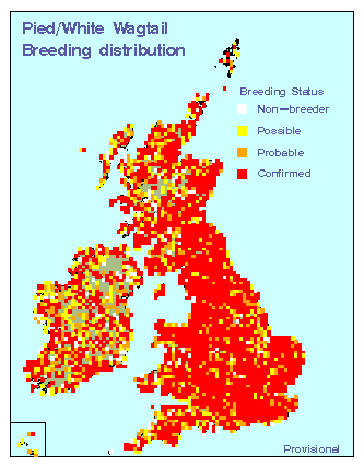 piewa_breeding_britirel_16042010.gif