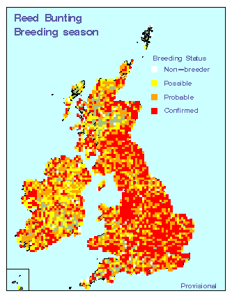 reebu_breeding_britirel_10082010.gif