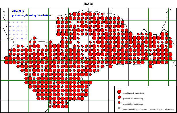 robin_20062012_breeding.gif