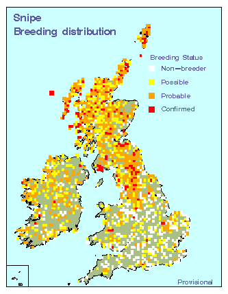 snipe_breeding_britirel_11082009.gif