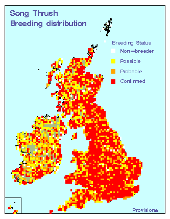 songthrush_breeding_britirel_03062009.gif