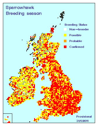 sparh_breeding_britirel_31052011.gif