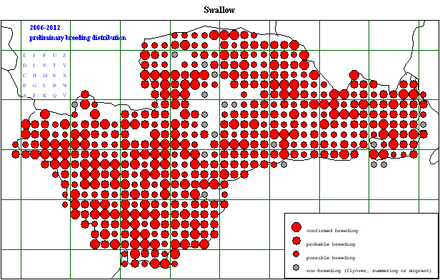 swall_20062012_breeding.gif