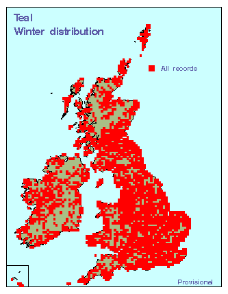 teal_winter_britirel_24122009.gif