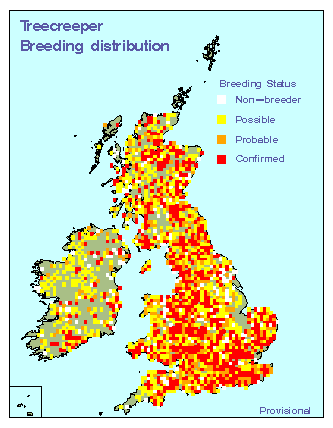 treecreeper_breeding_britirel_31082009.gif