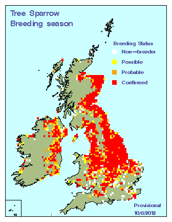 tresp_breeding_britirel_10062012.gif