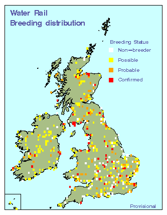 waterrail_breeding_britirel_23092009.gif